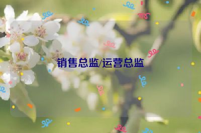 銷售總監(jiān)/運(yùn)營(yíng)總監(jiān)