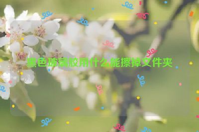 黑色玻璃膠用什么能擦掉文件夾