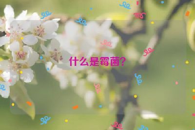 什么是霉菌？